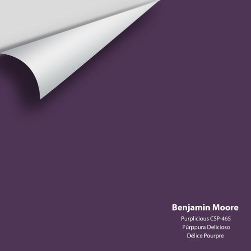 Benjamin Moore - Purplicious CSP-465 Peel & Stick Color Sample
