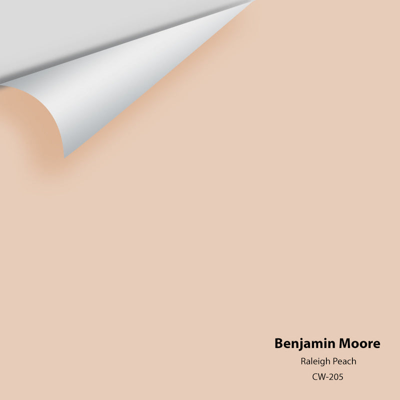 Benjamin Moore - Raleigh Peach CW-205 Peel & Stick Color Sample