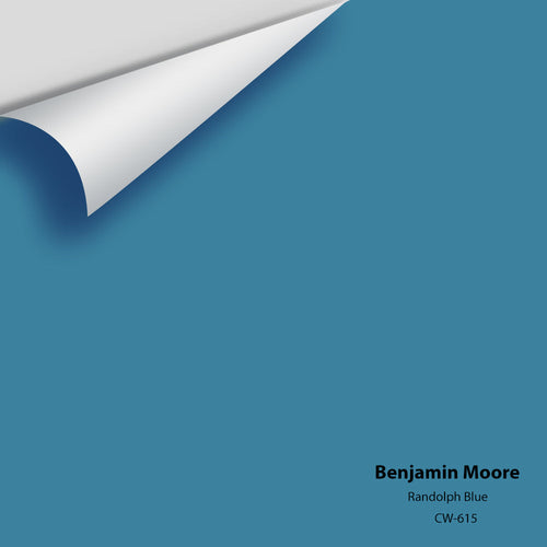 Benjamin Moore - Randolph Blue CW-615 Peel & Stick Color Sample