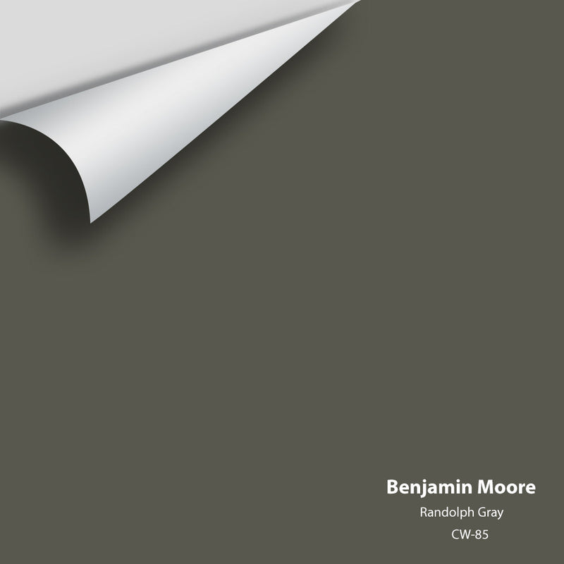 Benjamin Moore - Randolph Gray CW-85 Peel & Stick Color Sample