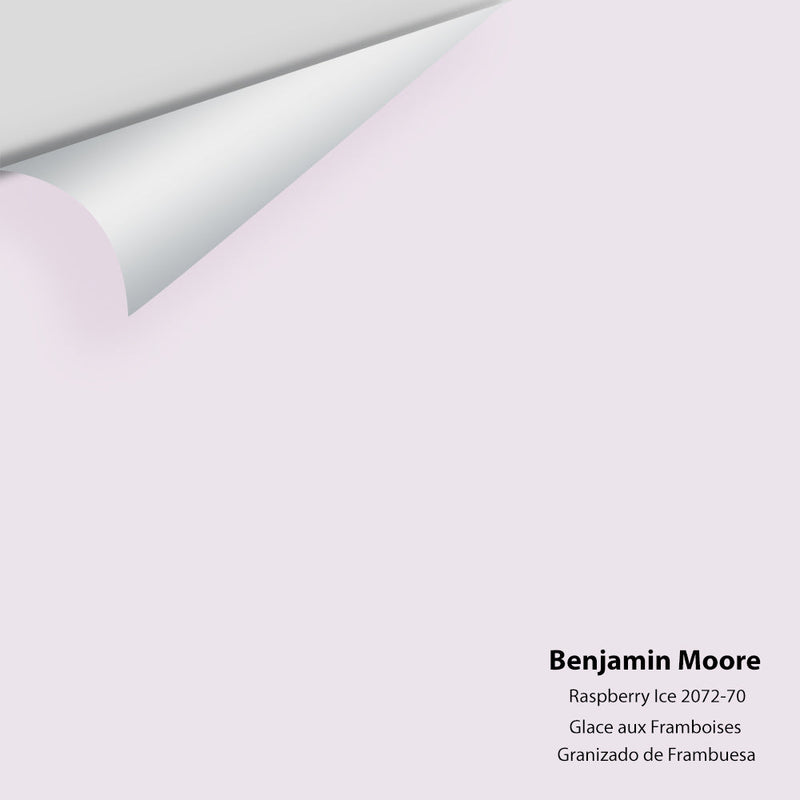 The Color House Benjamin Moore Peel & Stick Paint Samples – thecolorhouse