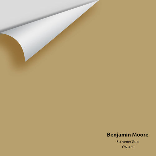 Benjamin Moore - Scrivener Gold CW-430 Peel & Stick Color Sample