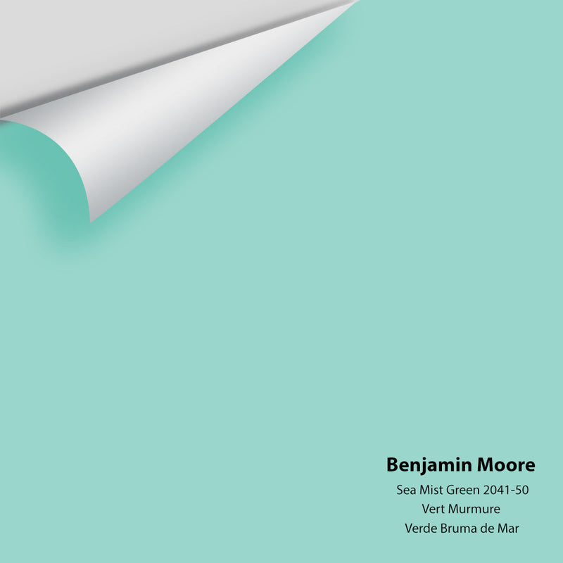 Benjamin Moore - Sea Mist Green 2041-50 Peel & Stick Color Sample