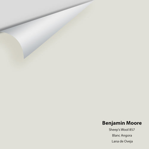 Benjamin Moore - Sheep's Wool 857 Peel & Stick Color Sample