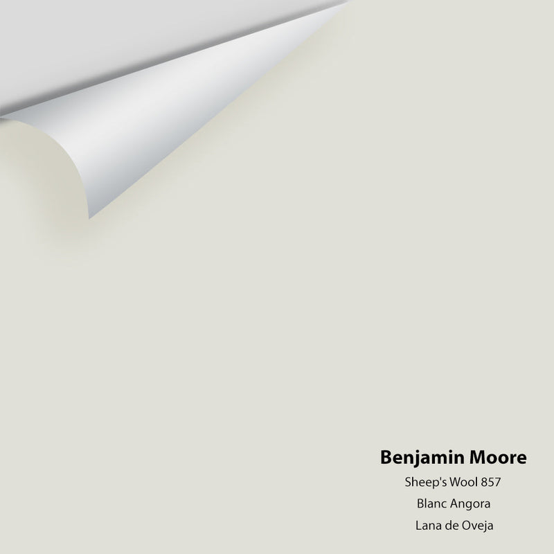 Benjamin Moore - Sheep's Wool 857 Peel & Stick Color Sample