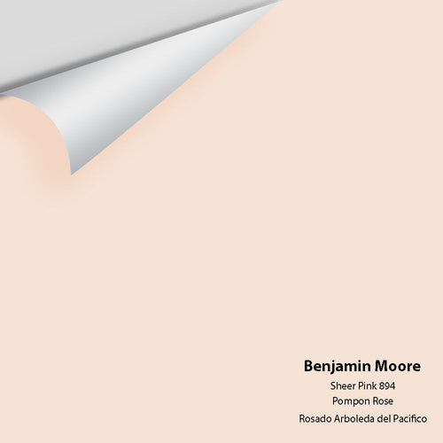 Benjamin Moore - Sheer Pink 894 Peel & Stick Color Sample