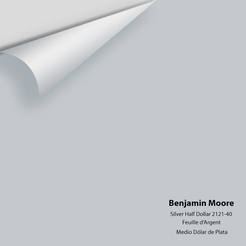 Benjamin Moore - Silver Half Dollar 2121-40 Peel & Stick Color Sample