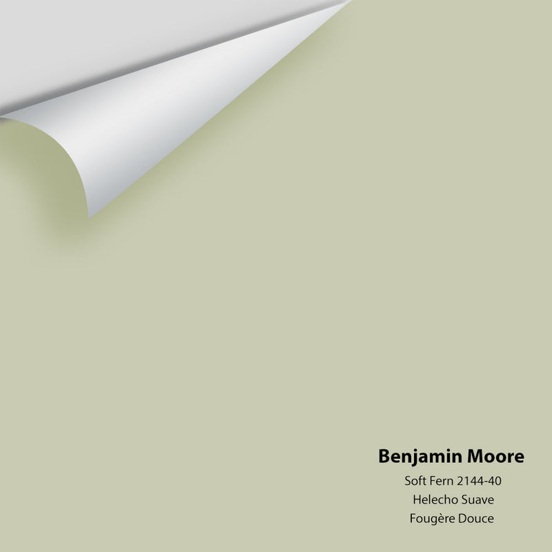 Benjamin Moore - Soft Fern 2144-40 Peel & Stick Color Sample