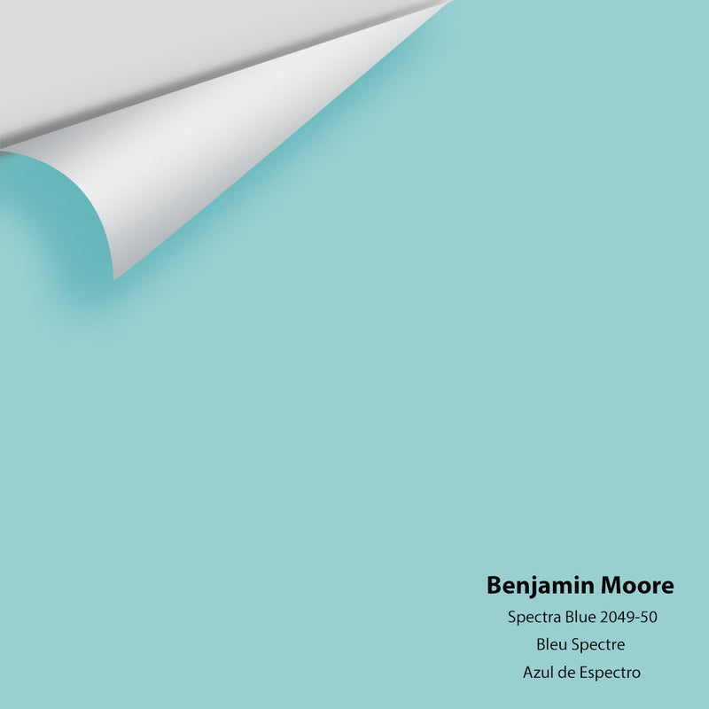 Benjamin Moore - Spectra Blue 2049-50 Peel & Stick Color Sample