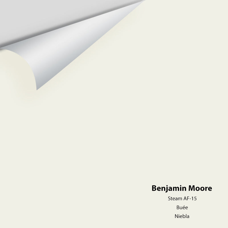 Benjamin Moore - Steam AF-15 Peel & Stick Color Sample