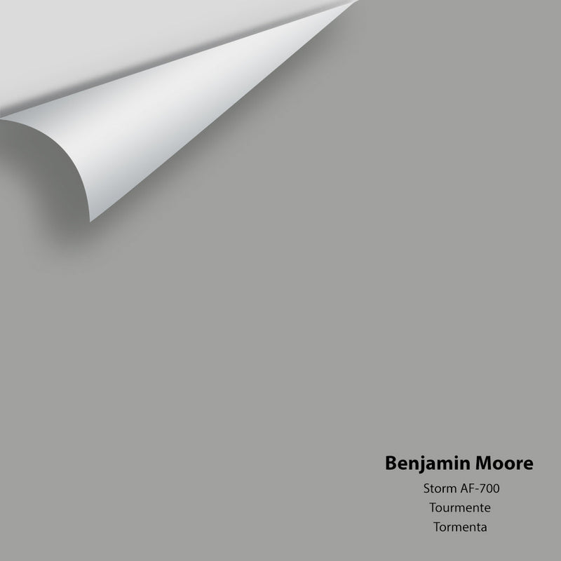 Benjamin Moore - Storm AF-700 Peel & Stick Color Sample
