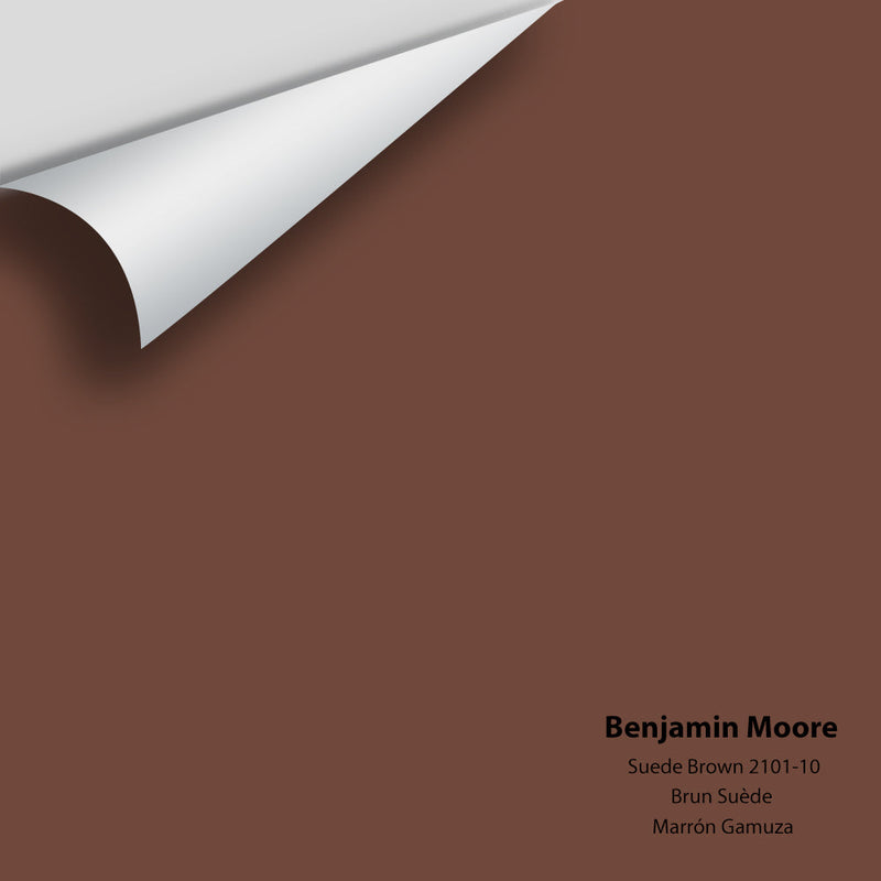 Benjamin Moore - Suede Brown 2101-10 Peel & Stick Color Sample