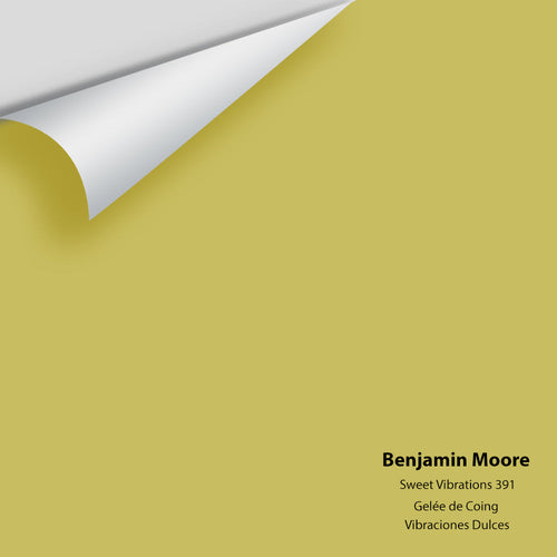 Benjamin Moore - Sweet Vibrations 391 Peel & Stick Color Sample