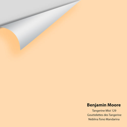 Benjamin Moore - Tangerine Mist 129 Peel & Stick Color Sample