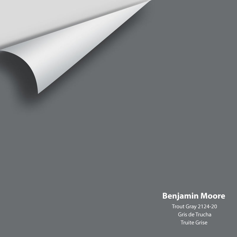 Benjamin Moore - Trout Gray 2124-20 Peel & Stick Color Sample