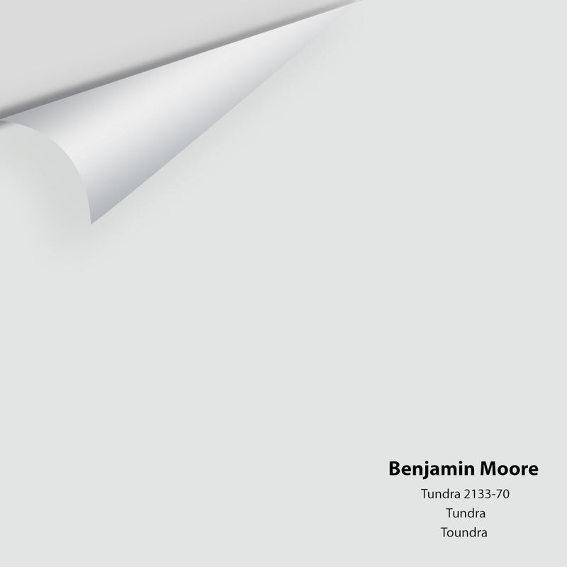 Benjamin Moore - Tundra 2133-70 Peel & Stick Color Sample