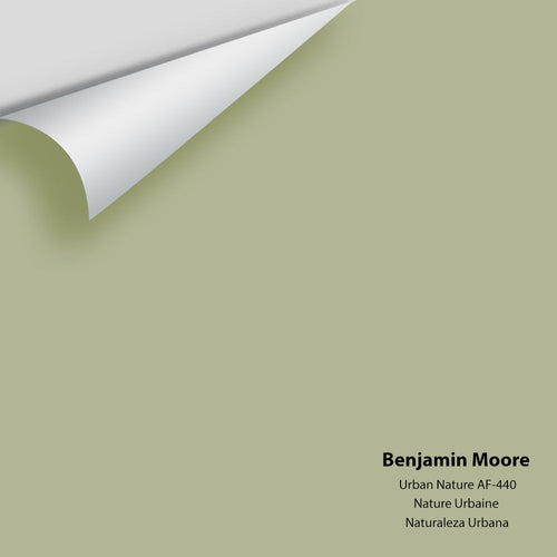 Benjamin Moore - Urban Nature AF-440 Peel & Stick Color Sample