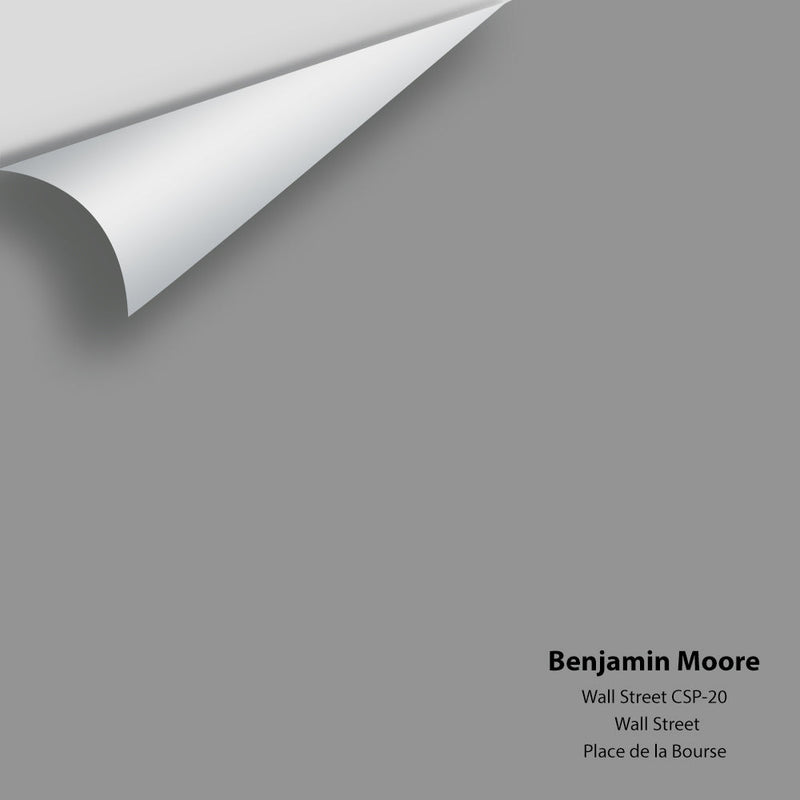 Benjamin Moore - Wall Street CSP-20 Peel & Stick Color Sample