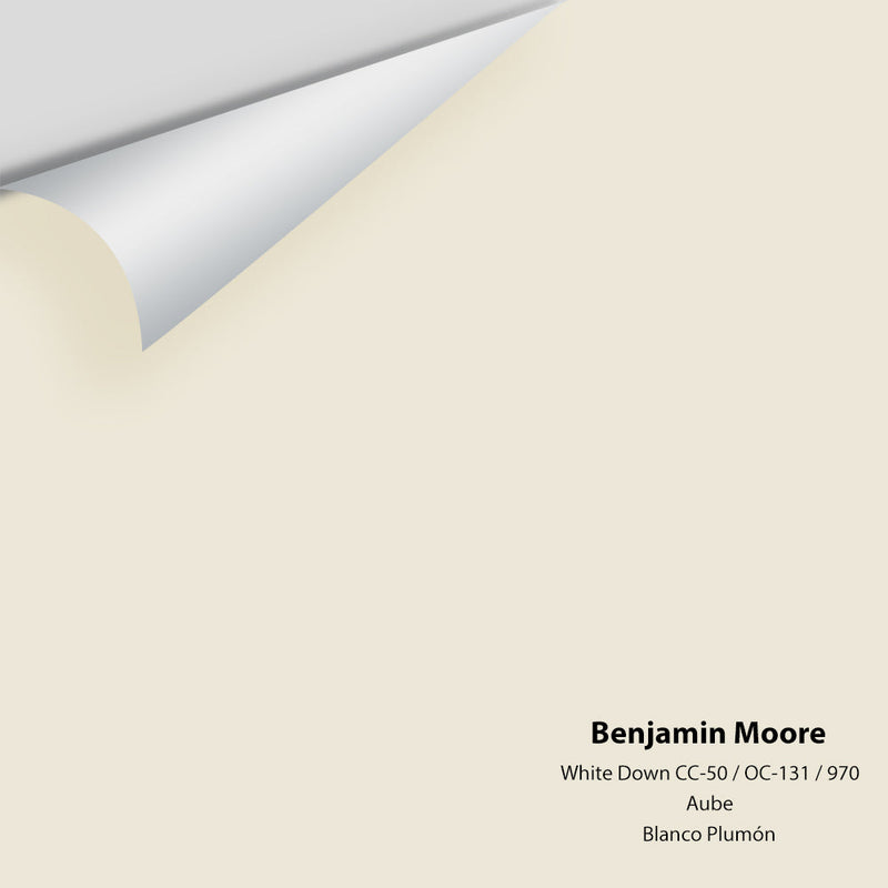 Benjamin Moore - White Down 970/CC-50/OC-131 Peel & Stick Color Sample