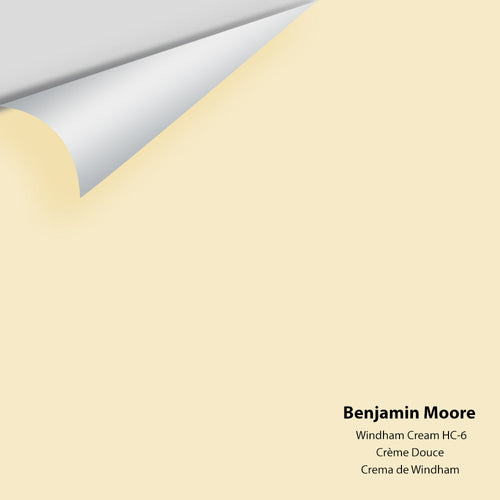 Benjamin Moore - Windham Cream HC-6 Peel & Stick Color Sample