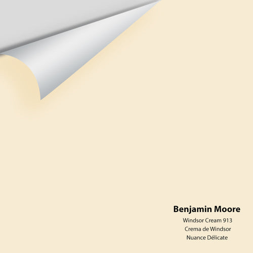 Benjamin Moore - Windsor Cream 913 Peel & Stick Color Sample