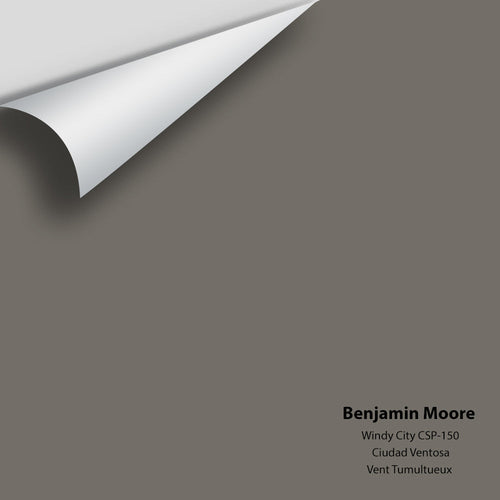 Benjamin Moore - Windy City CSP-150 Peel & Stick Color Sample