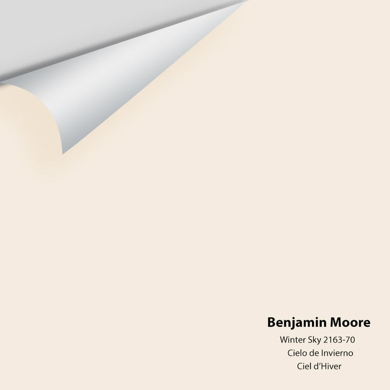 Benjamin Moore - Winter Sky 2163-70 Peel & Stick Color Sample