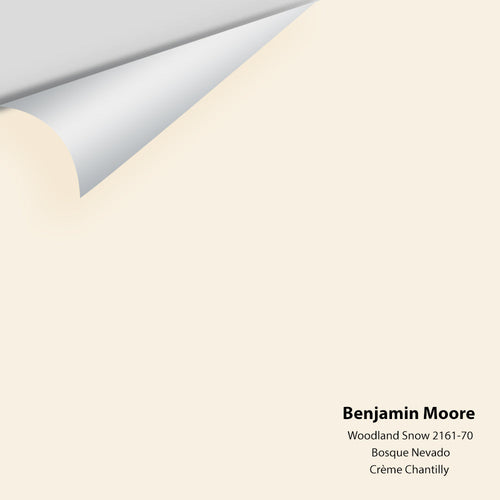 Benjamin Moore - Woodland Snow 2161-70 Peel & Stick Color Sample