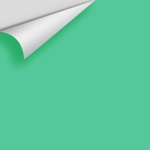 Benjamin Moore - Adam Green 2037-40 Peel & Stick Color Sample