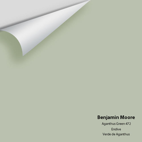 Benjamin Moore - Aganthus Green 472 Peel & Stick Color Sample