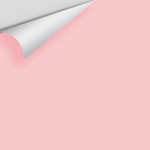 Benjamin Moore - Authentic Pink 2006-60 Peel & Stick Color Sample