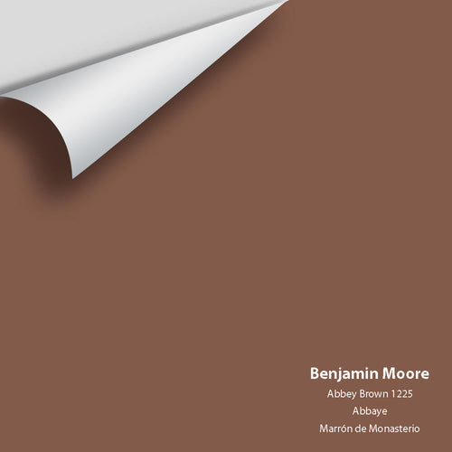 Benjamin Moore - Abbey Brown 1225 Peel & Stick Color Sample