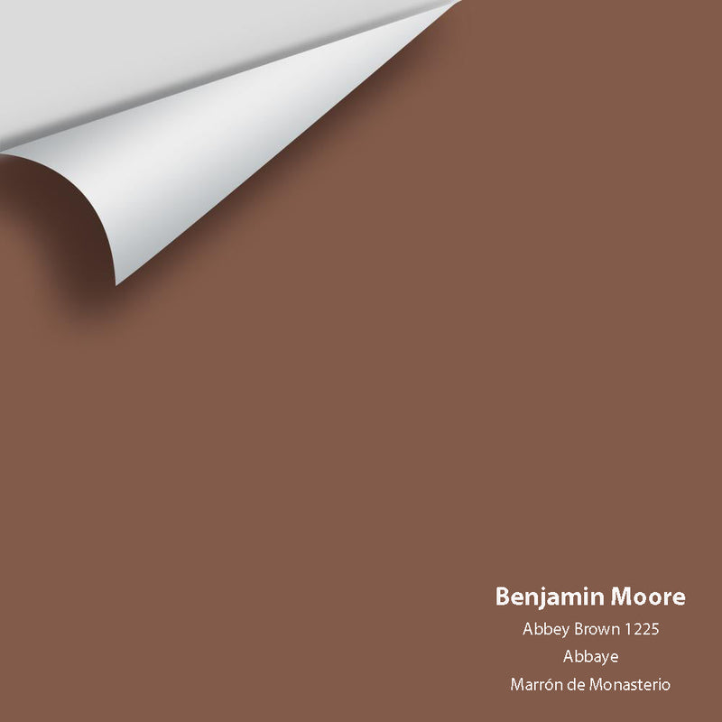 Benjamin Moore - Abbey Brown 1225 Peel & Stick Color Sample