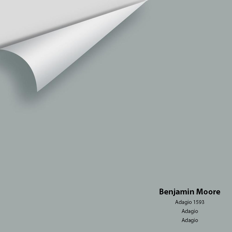 Benjamin Moore - Adagio 1593 Peel & Stick Color Sample