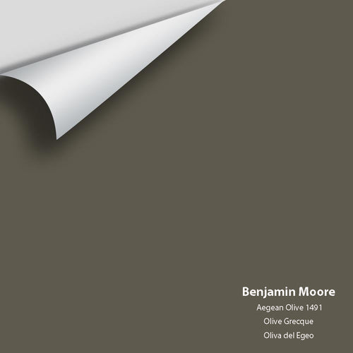 Benjamin Moore - Aegean Olive 1491 Peel & Stick Color Sample