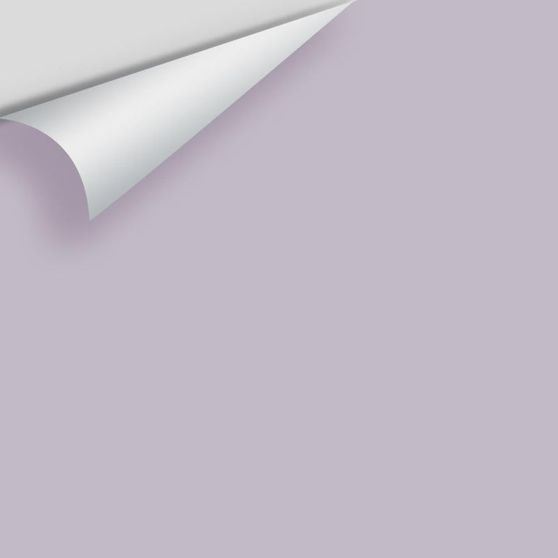 Benjamin Moore - African Violet 2116-50 Peel & Stick Color Sample
