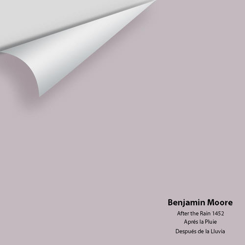 Benjamin Moore - After The Rain 1452 Peel & Stick Color Sample