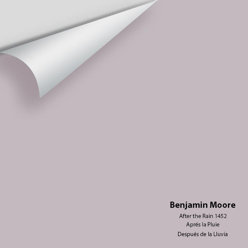 Benjamin Moore - After The Rain 1452 Peel & Stick Color Sample