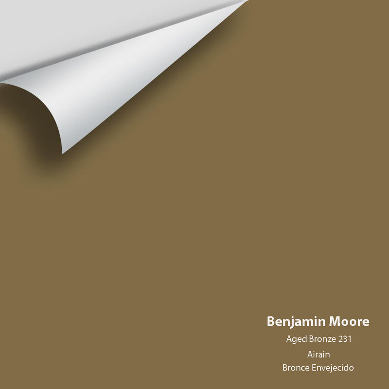 Benjamin Moore - Aged Bronze 231 Peel & Stick Color Sample