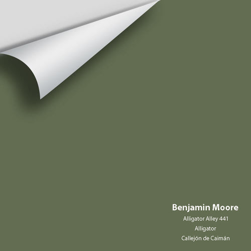 Benjamin Moore - Alligator Alley 441 Peel & Stick Color Sample