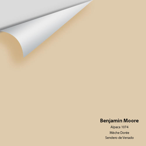 Benjamin Moore - Alpaca 1074 Peel & Stick Color Sample