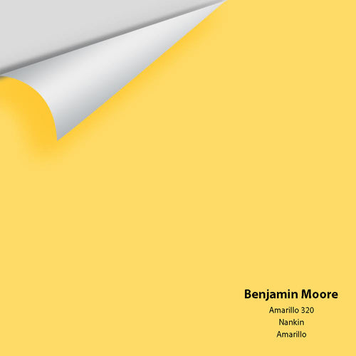 Benjamin Moore - Amarillo 320 Peel & Stick Color Sample