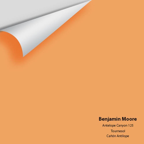 Benjamin Moore - Antelope Canyon 125 Peel & Stick Color Sample