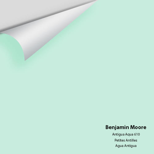 Benjamin Moore - Antigua Aqua 610 Peel & Stick Color Sample
