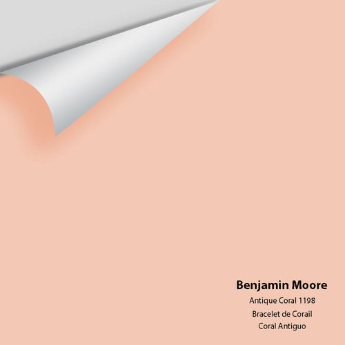 Benjamin Moore - Antique Coral 1198 Peel & Stick Color Sample