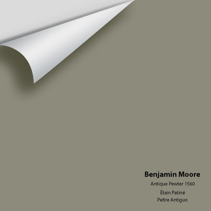 Benjamin Moore - Antique Pewter 1560 Peel & Stick Color Sample