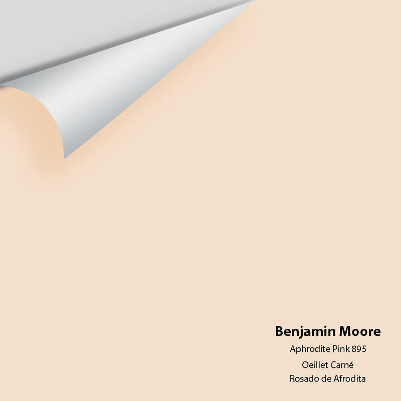 Benjamin Moore - Aphrodite Pink 895 Peel & Stick Color Sample