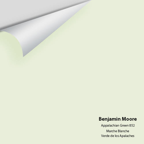 Benjamin Moore - Appalachian Green 852 Peel & Stick Color Sample