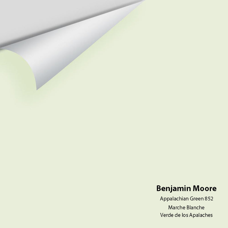 Benjamin Moore - Appalachian Green 852 Peel & Stick Color Sample