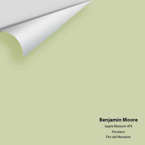 Benjamin Moore - Apple Blossom 479 Peel & Stick Color Sample